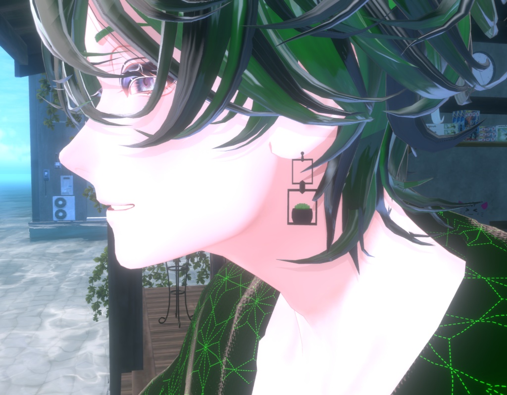 ハオルチア オブツーサの3Dモデルとオブツーサピアス