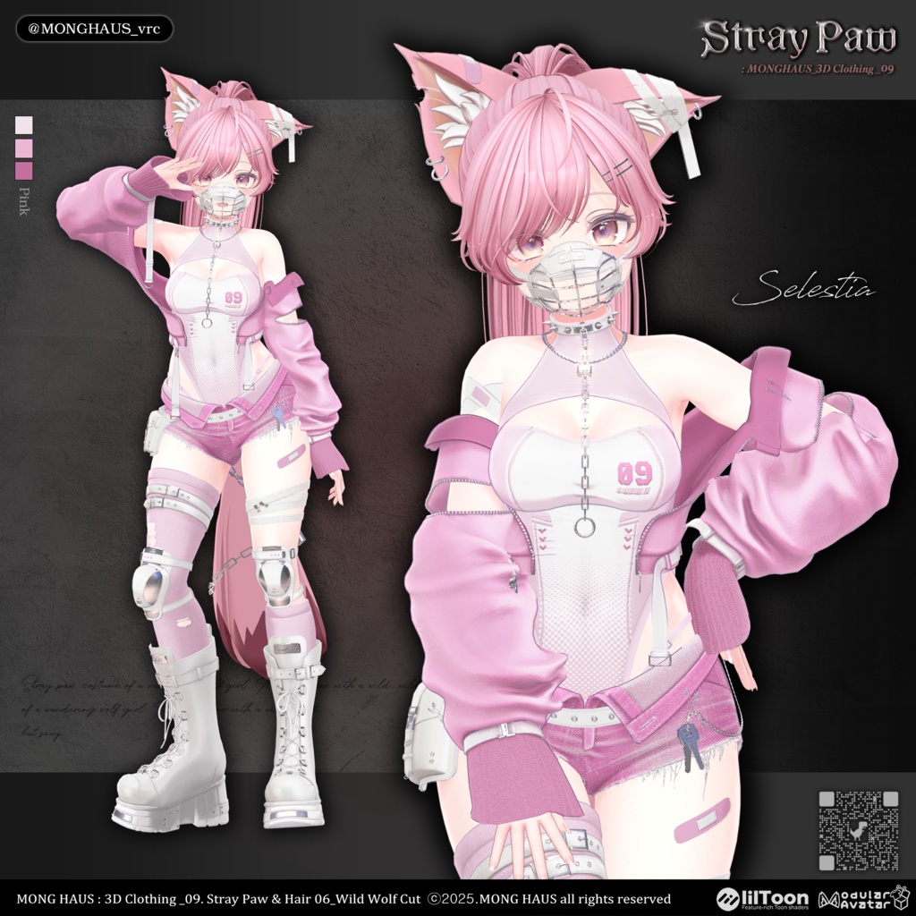 【16アバター対応】Stray Paw🔒