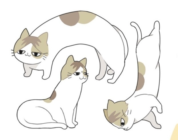 さわるなﾝﾏﾈｺマグネット