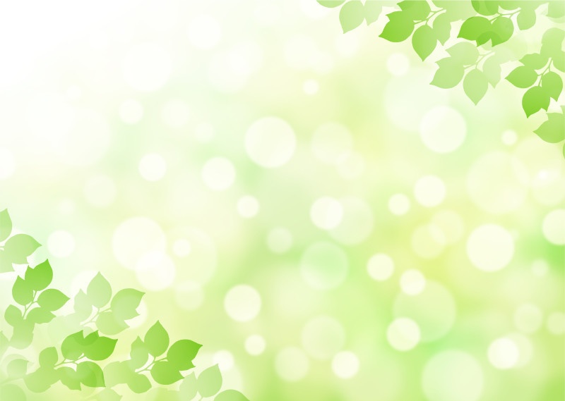 新緑と木漏れ日の背景画像集