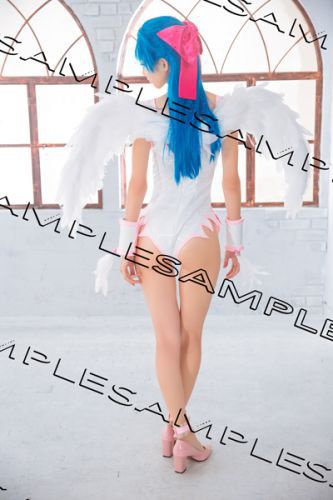 2017春の新作セット