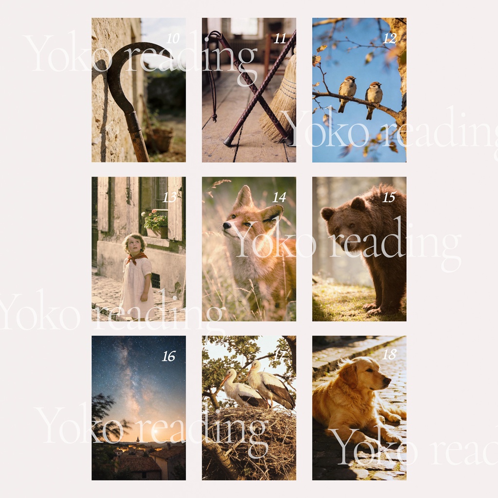 Yoko reading オリジナルルノルマンカード