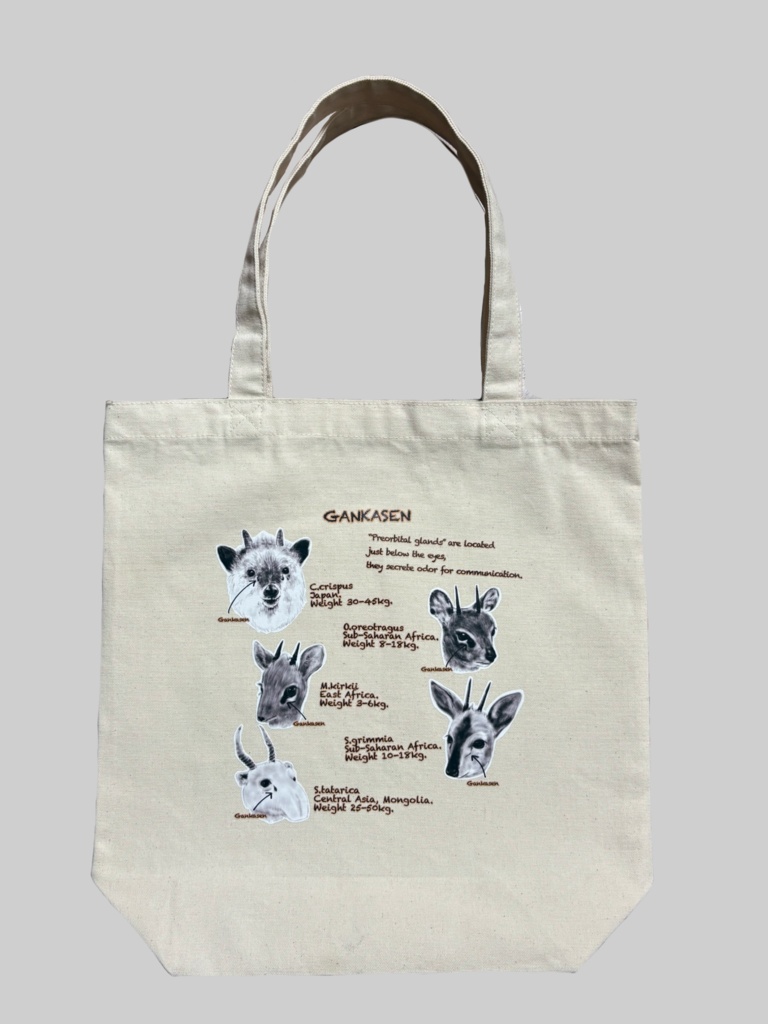 眼下腺トートバッグ