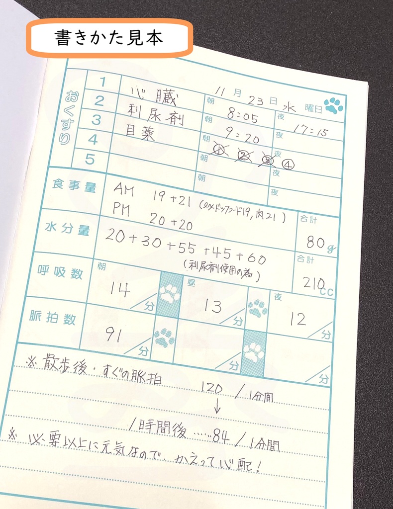 投薬ノート(2冊)