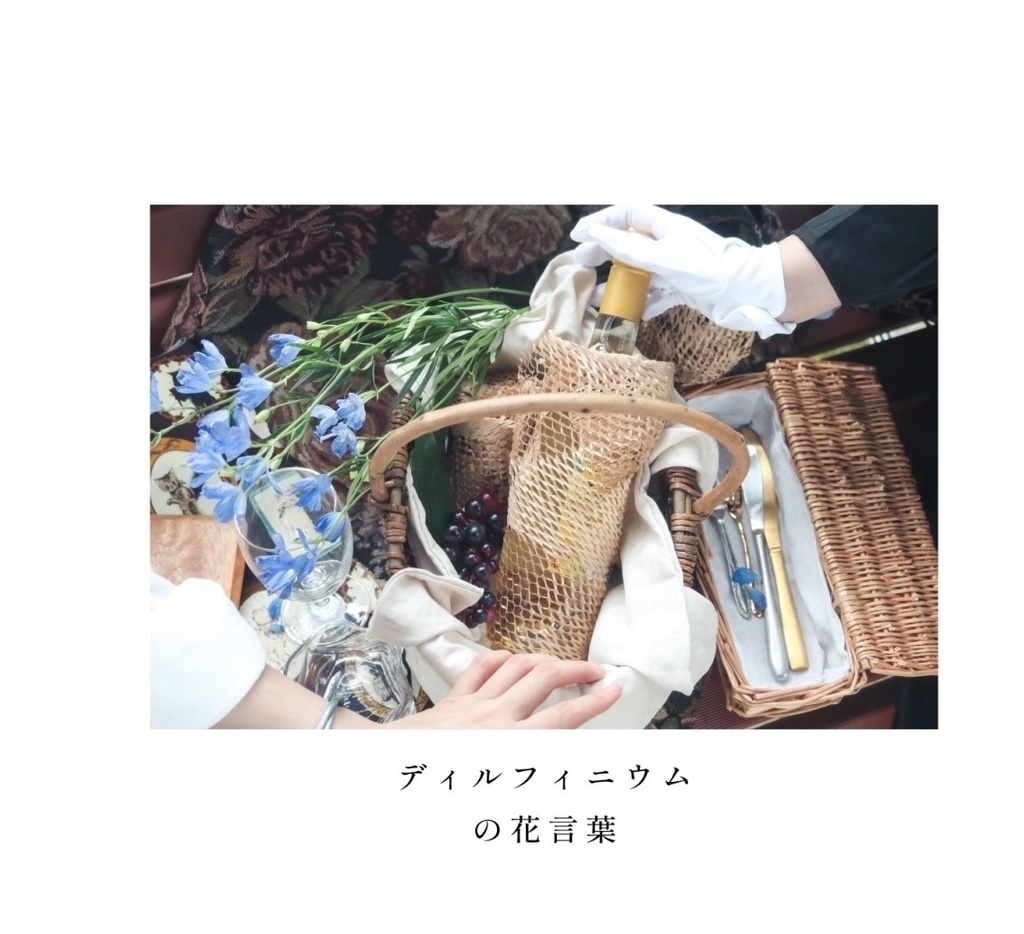 ディルフィニウムの花言葉