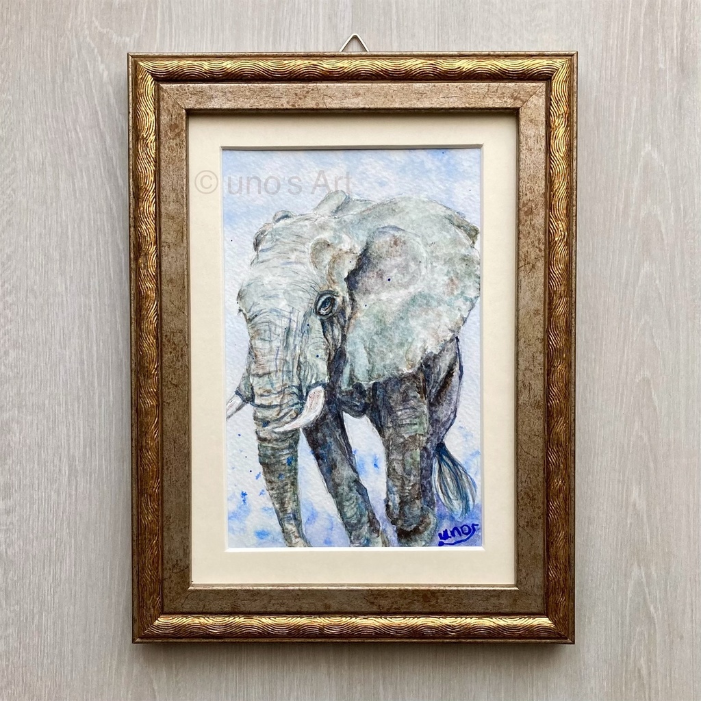 原画 透明水彩 「アフリカゾウと秘密のグレー」 ゾウ 額縁 箱付き