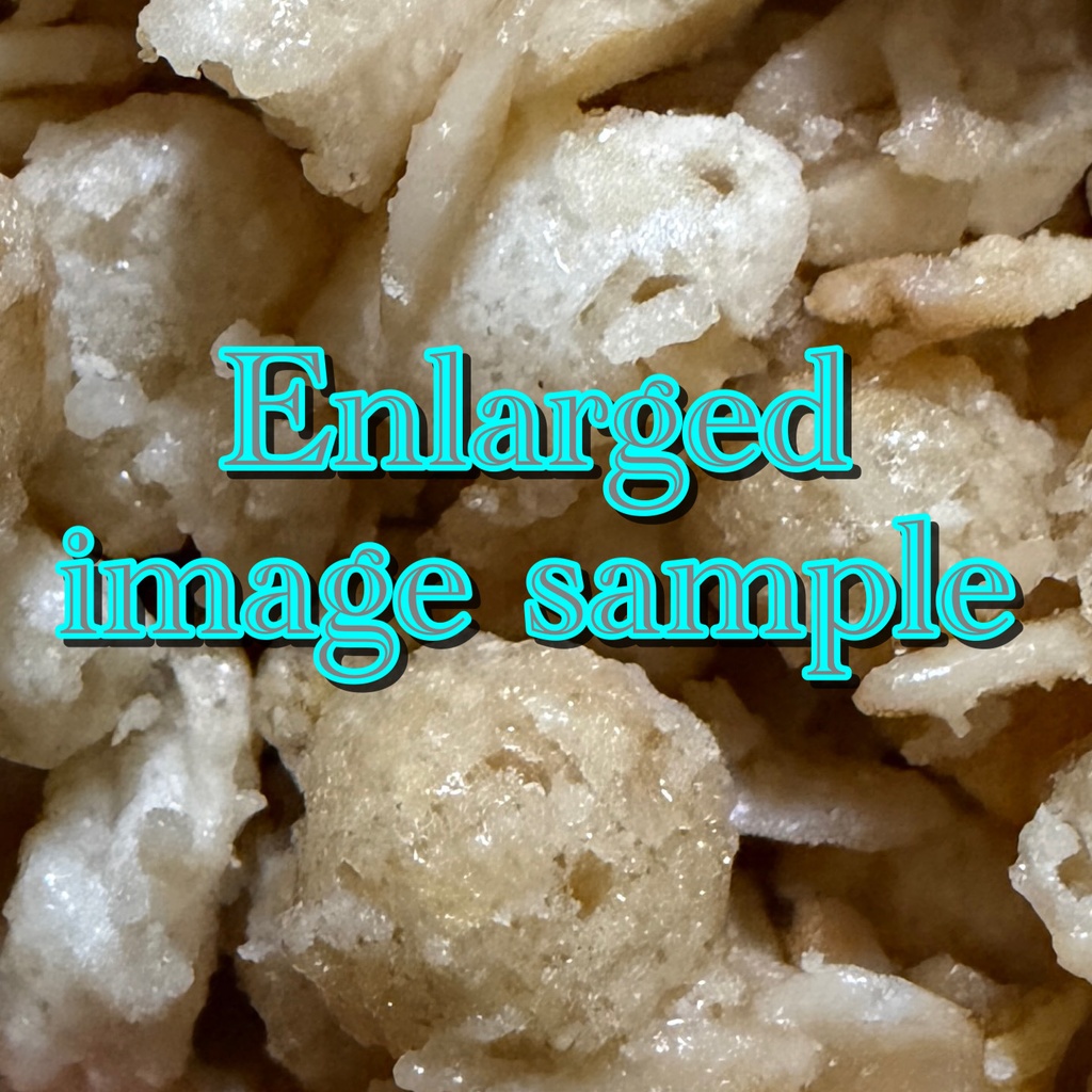 Raw Organic Macro Texture Creature Skin & Alien Surface (5 High-Res Photos) 【実写マクロ素材】有機的テクスチャ 5枚セット - クリーチャーの皮膚・未知の惑星の地表(高解像度・無加工)