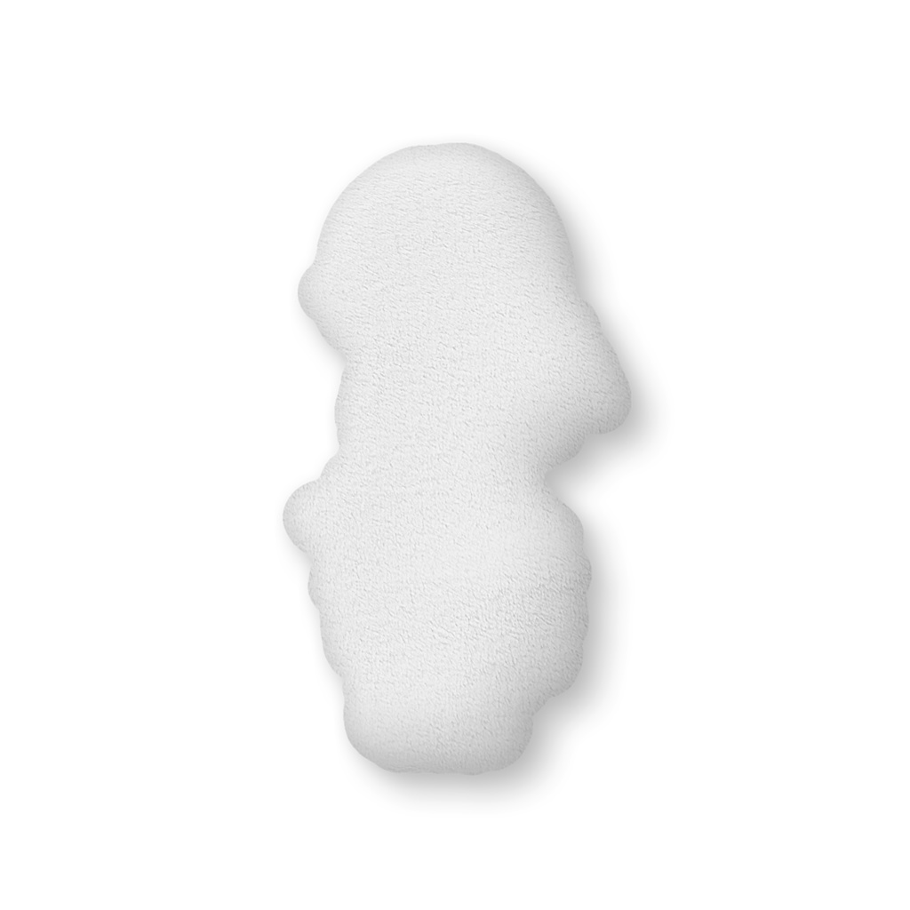 ライバークッション No.01 八咫澪 玲