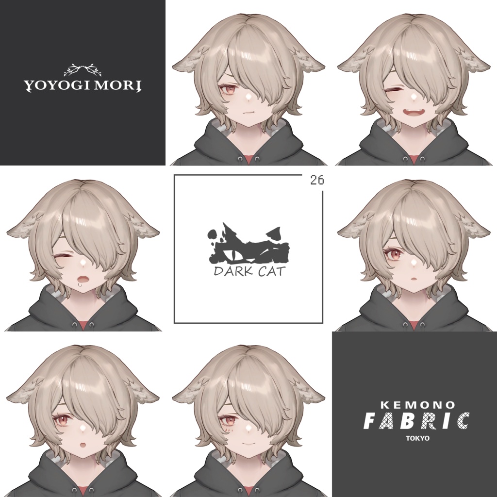 【VRC 対応3Dモデル】DARK CAT WITCH ver1.00