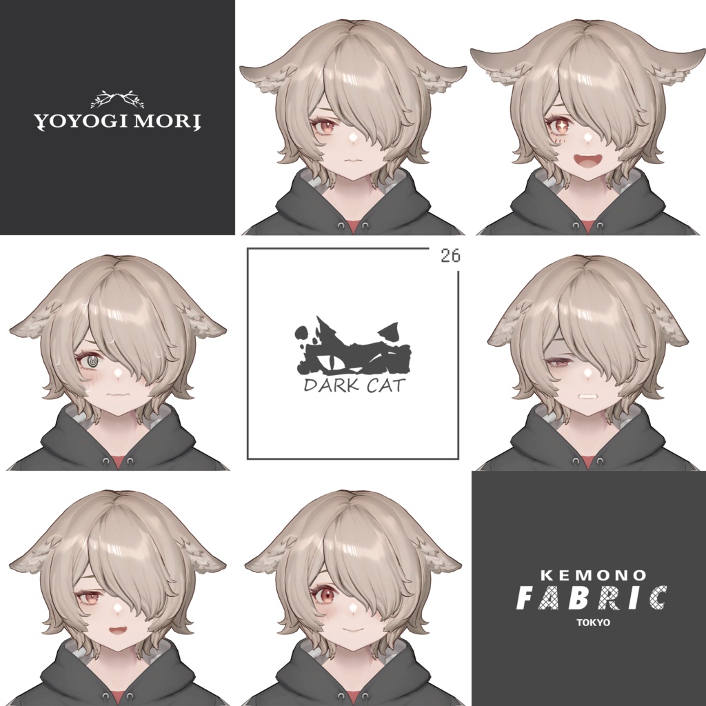 【VRC 対応3Dモデル】DARK CAT WITCH ver1.00