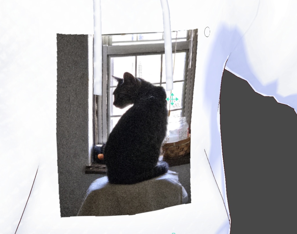 あまりにも構図が見返り美人猫過ぎるうち猫パーカー配布