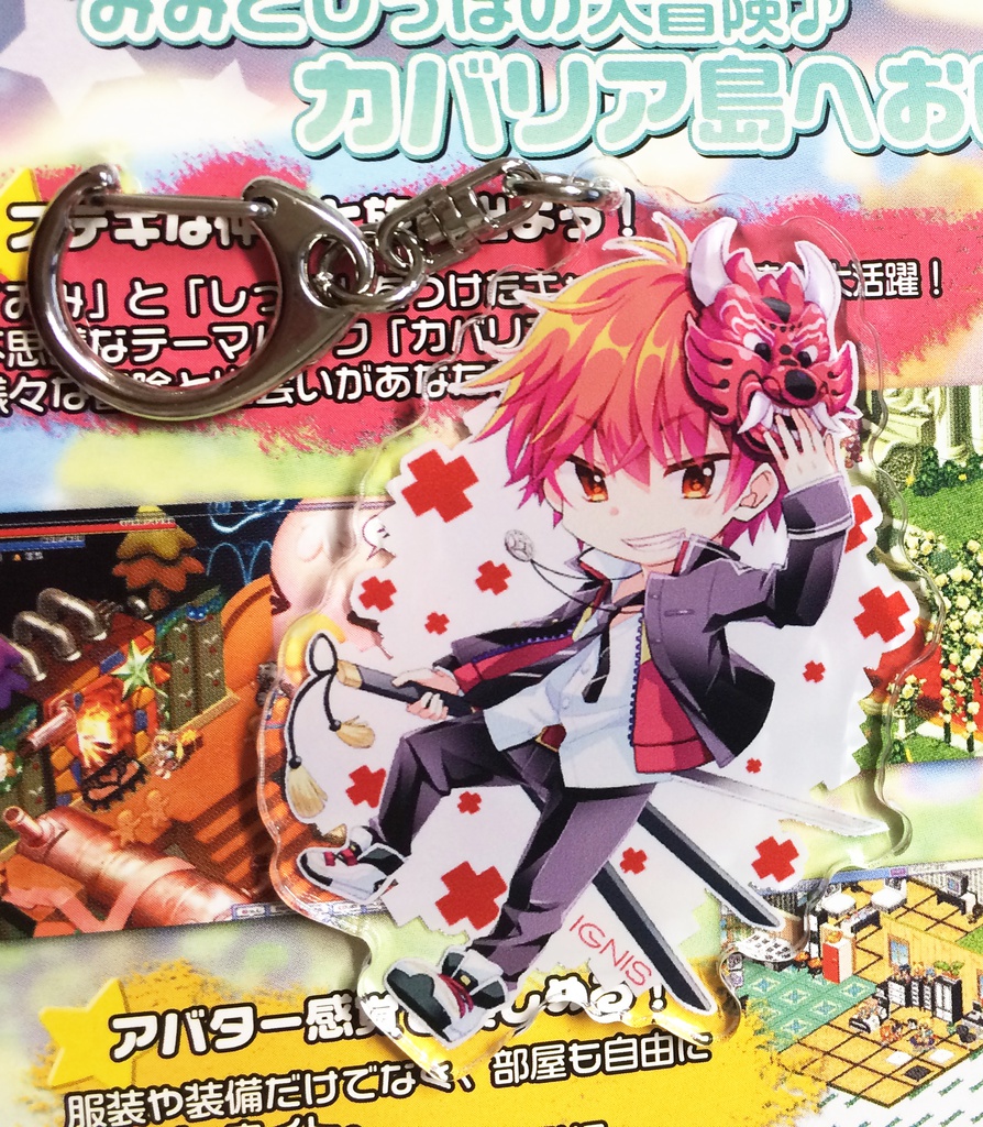 イグニス/アクキー