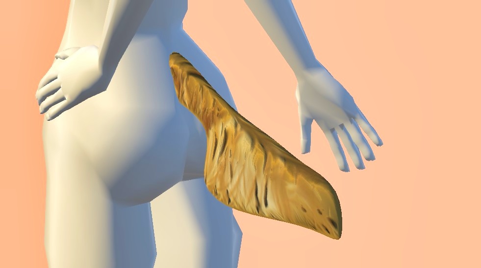 犬耳しっぽセット:ゴールデンレトリバー