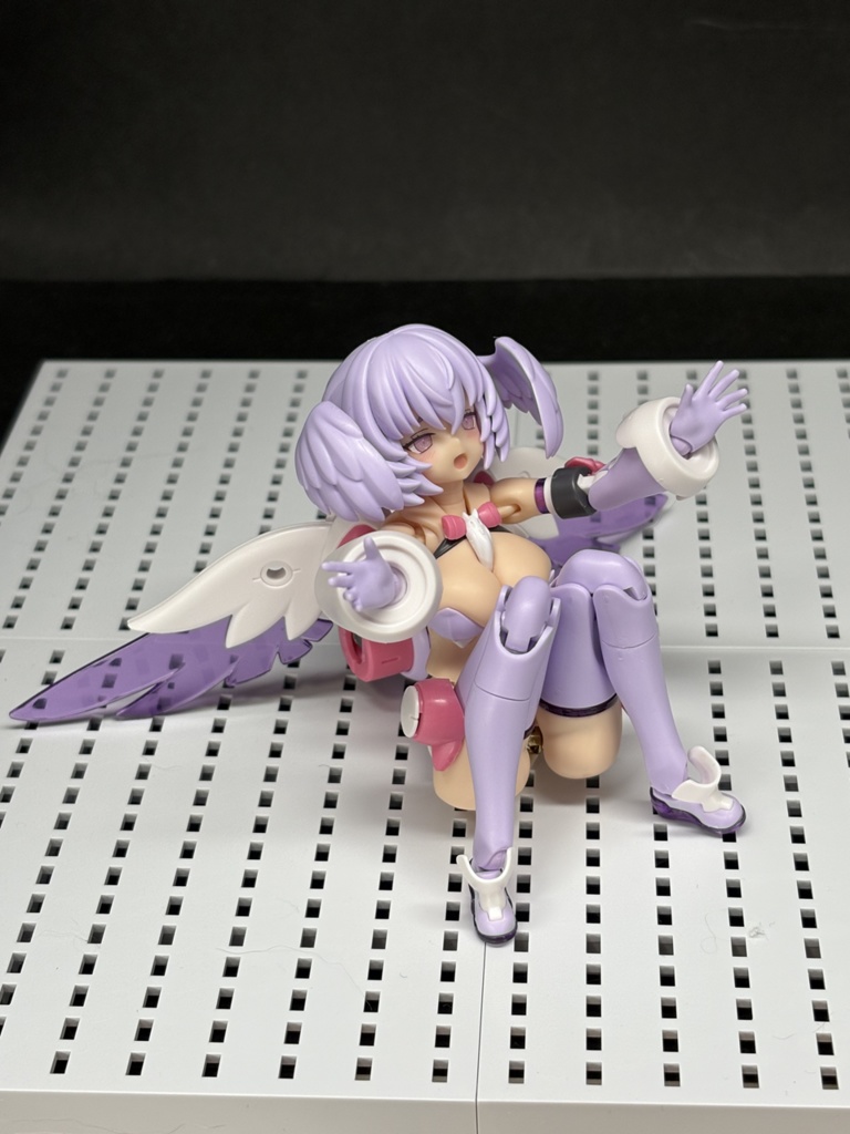 ぺルビスユニット ブロック2タイプM