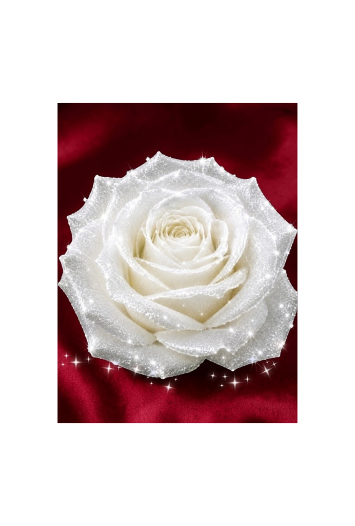 大人オシャレな薔薇🌹ポストカード（7種）