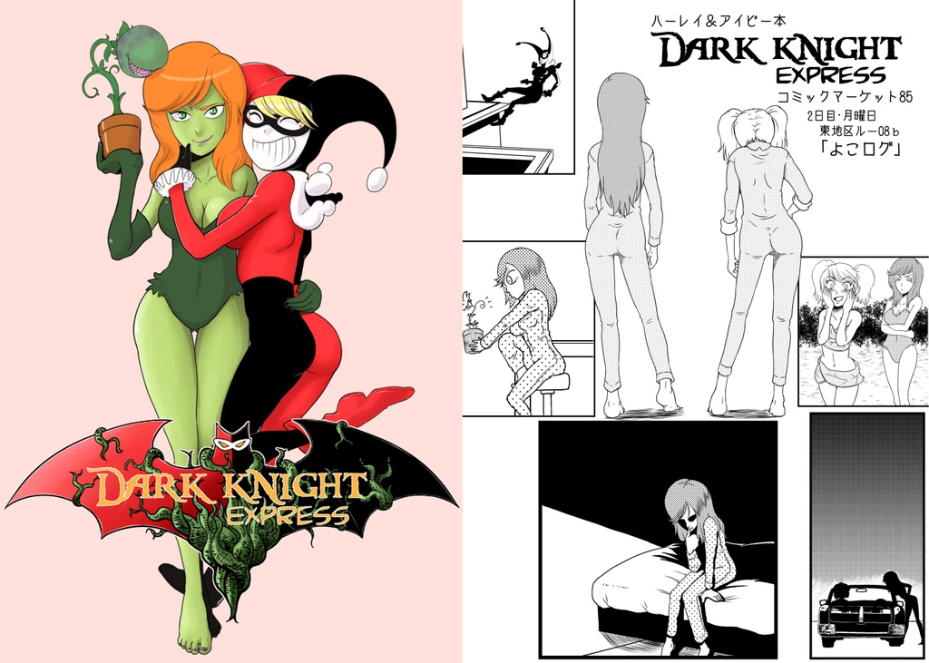 DARK KNIGHT EXPRESS
