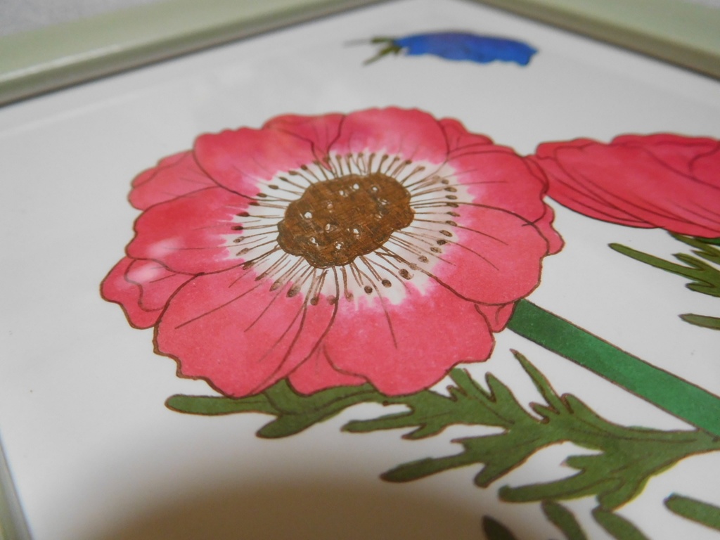 アネモネ ハガキ原画