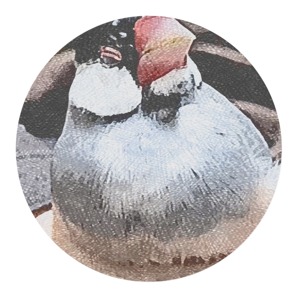 XL文鳥 ボス ふかふか テープ