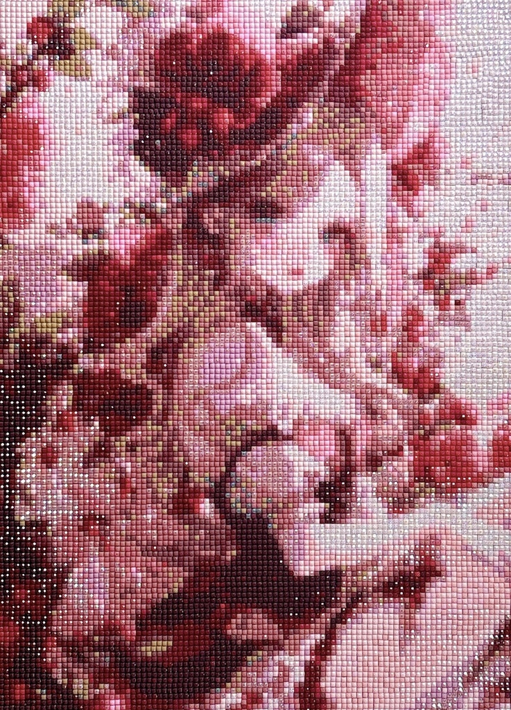 【ダイヤモンドアート】薔薇のドレスの少女
