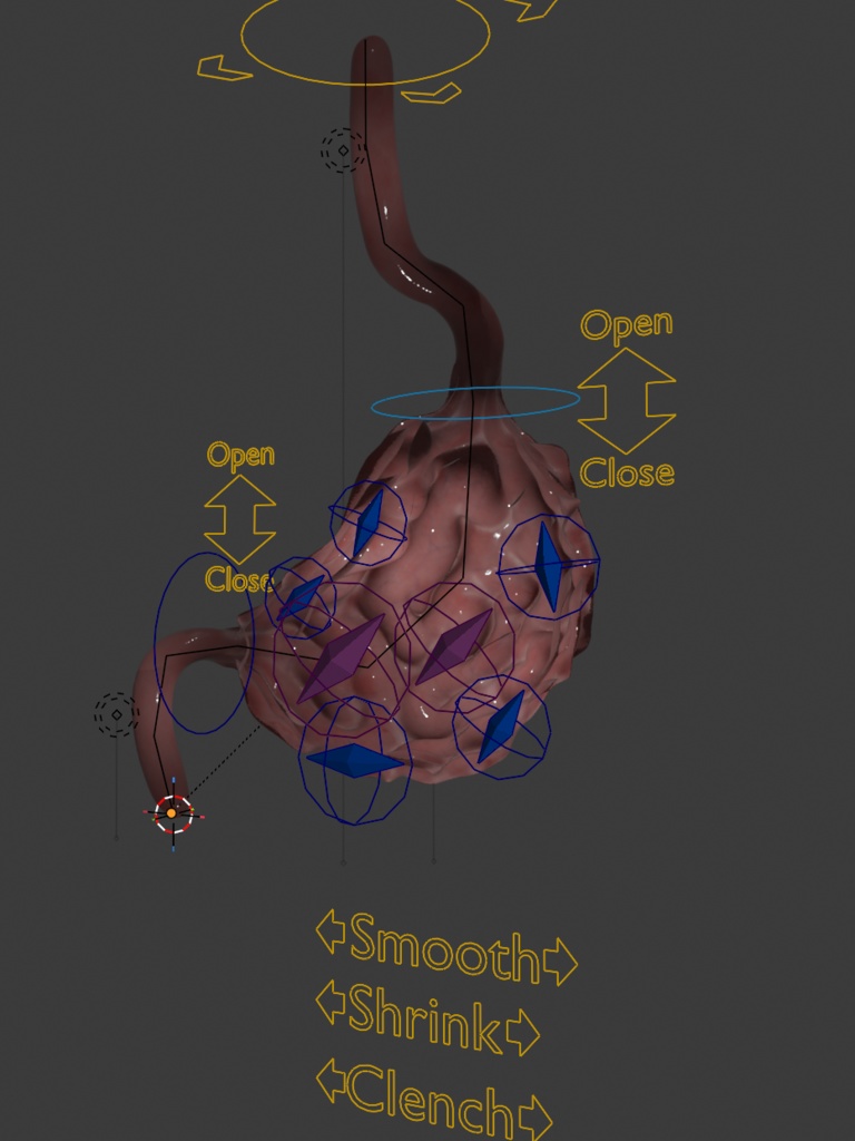 Kumada's stomach - 3D model