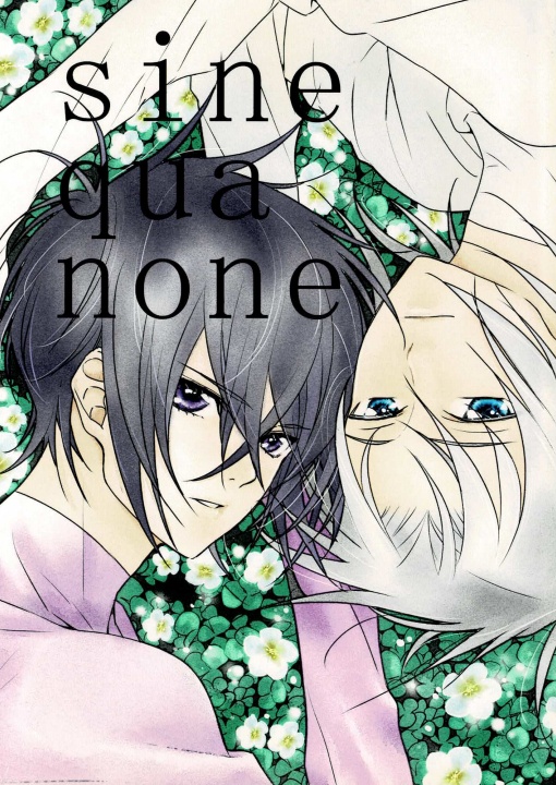 sine qua none