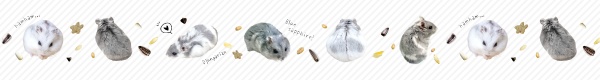 ハムスターさんマスキングテープ