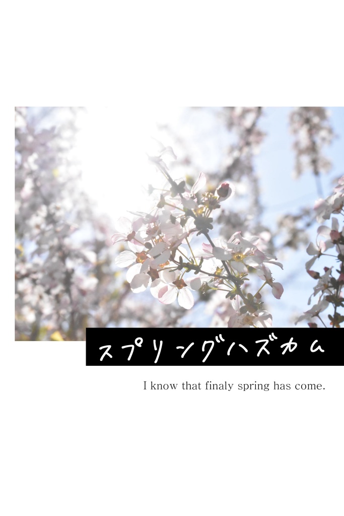 【ゆいはる】スプリングハズカム