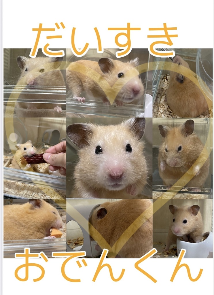 だいすきおでんくん