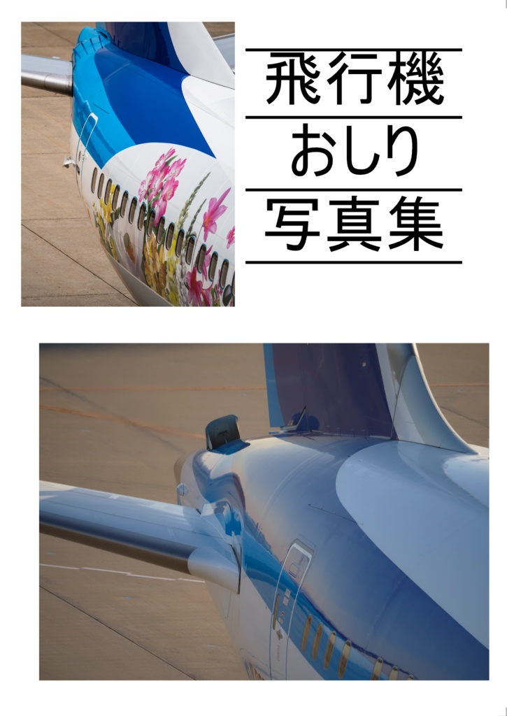 飛行機お尻写真集