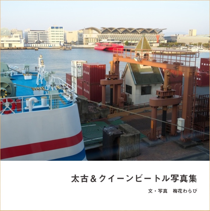 太古＆クイーンビートル写真集