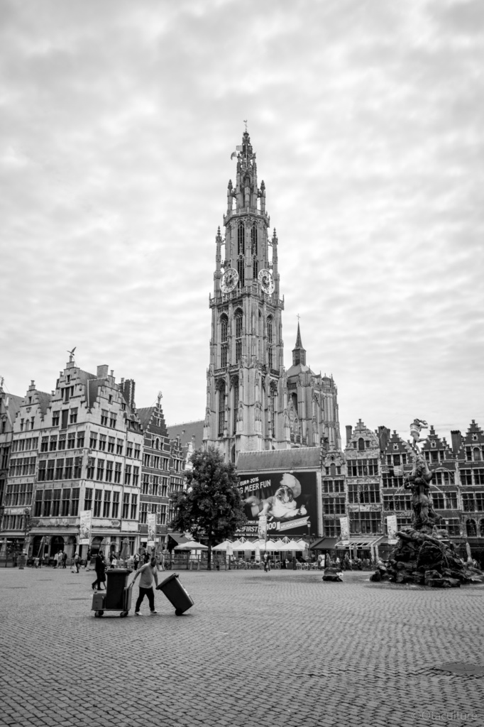 【データ版】Monochrome