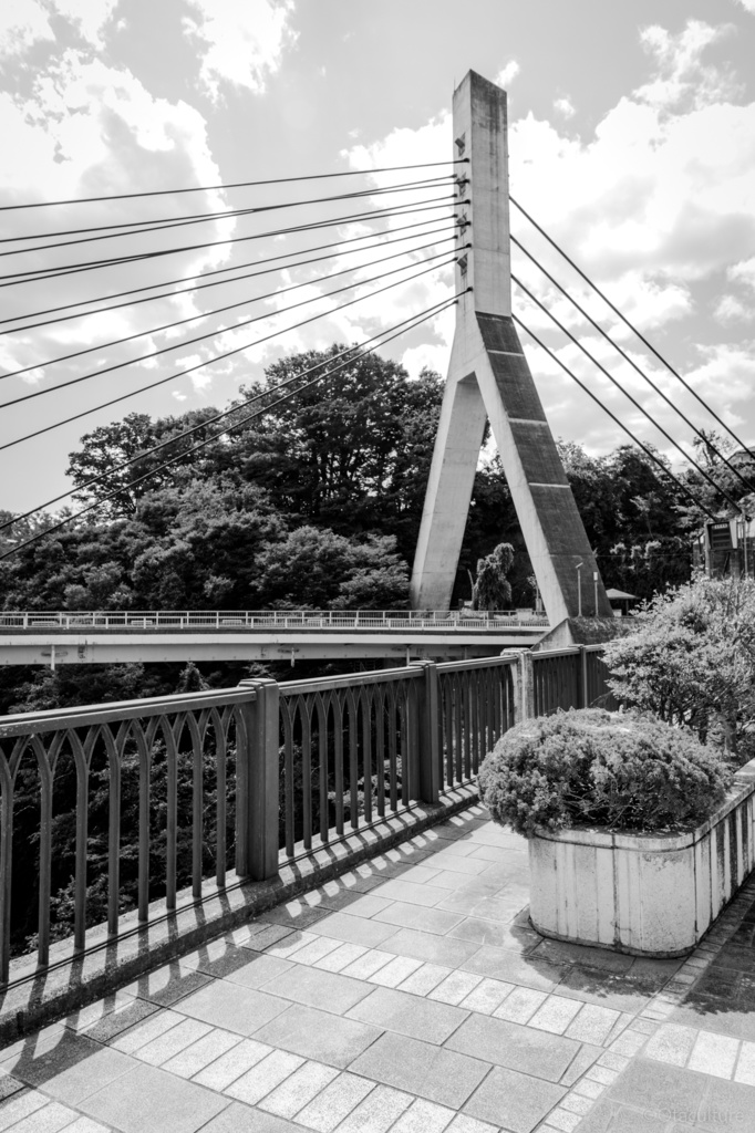 【データ版】Monochrome