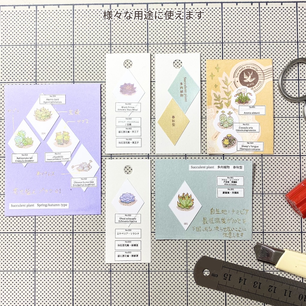 Colliのテーブルミニ図鑑:多肉植物 春秋型 第1弾(001-024)