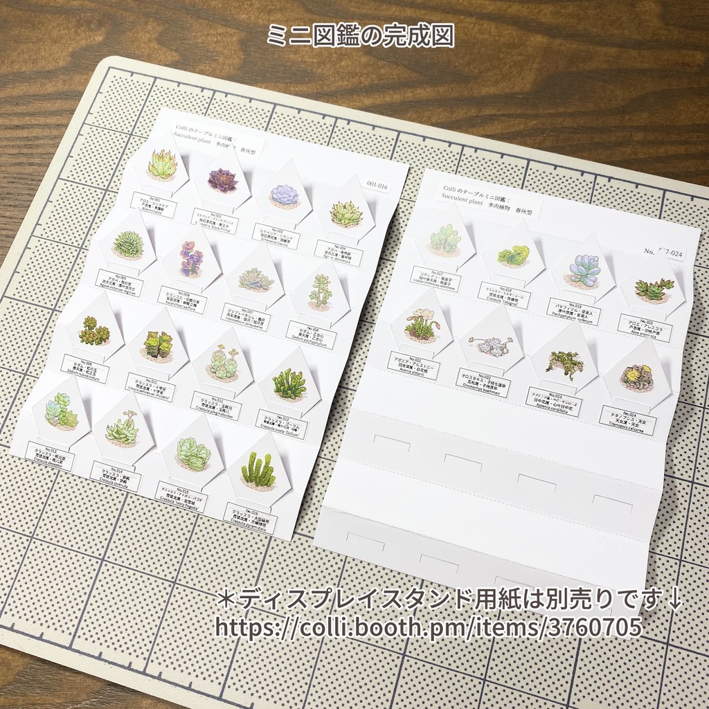 Colliのテーブルミニ図鑑:多肉植物 春秋型 第1弾(001-024)