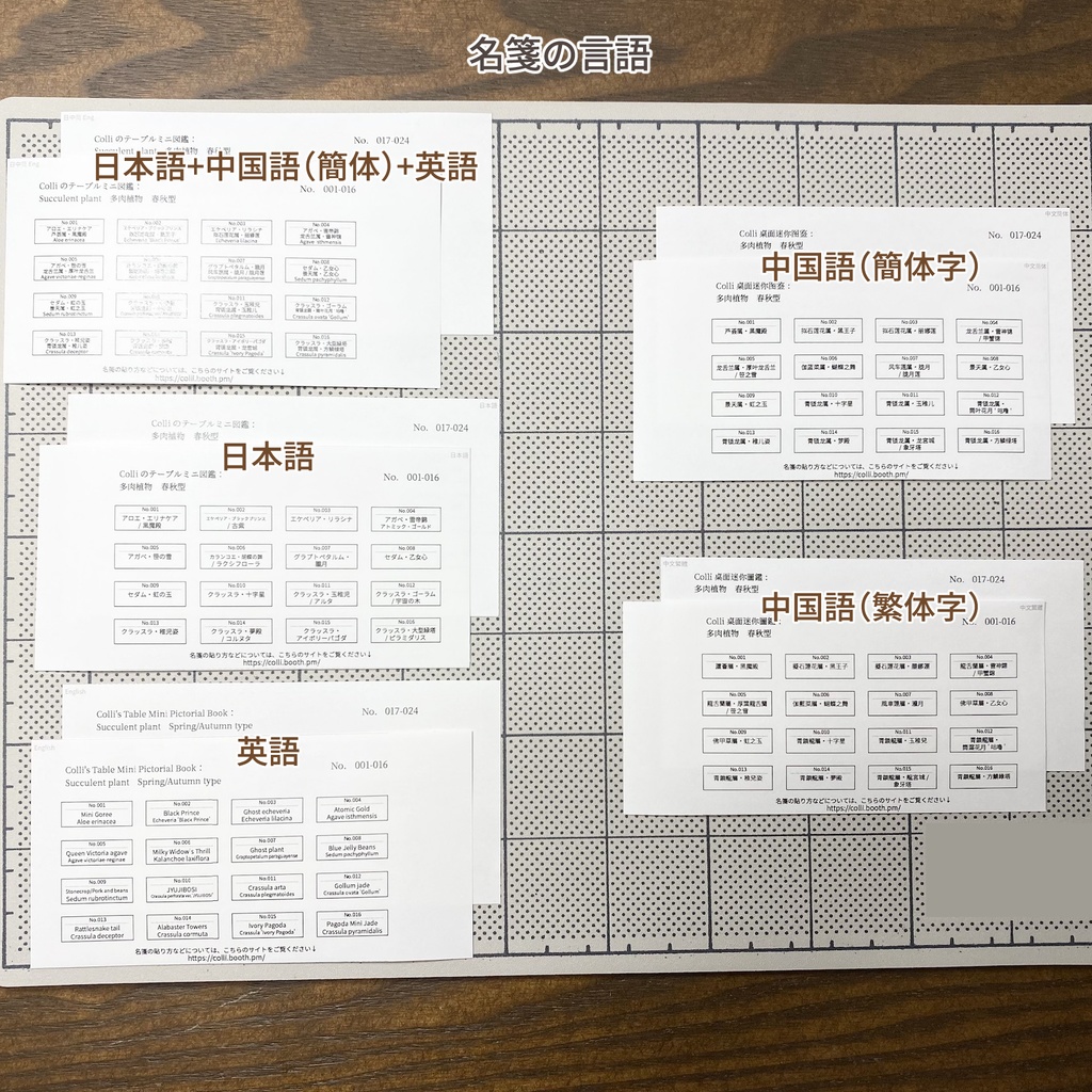 Colliのテーブルミニ図鑑:多肉植物 春秋型 第1弾(001-024)