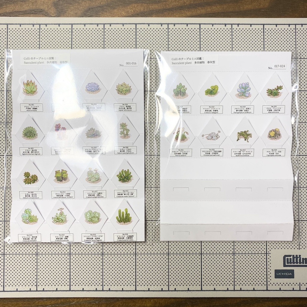 Colliのテーブルミニ図鑑:多肉植物 春秋型 第1弾(001-024)