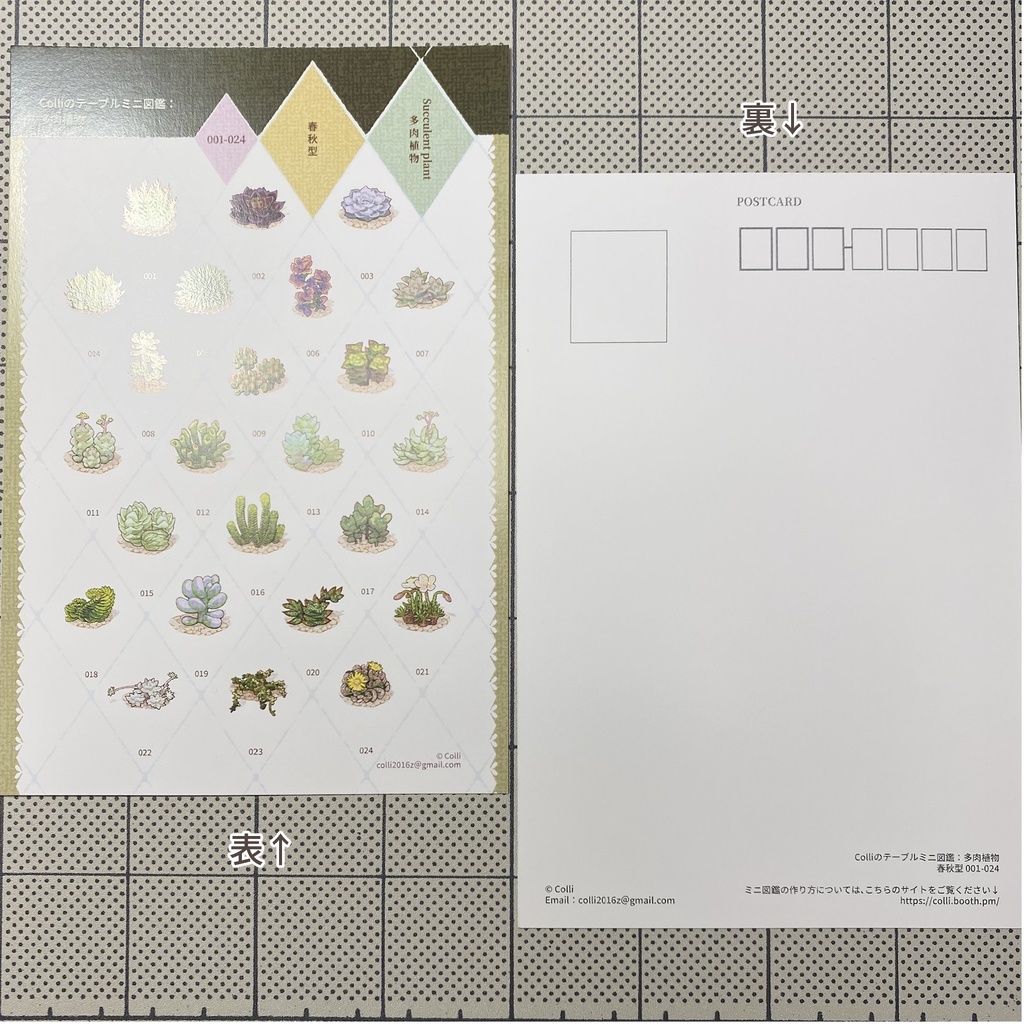 Colliのテーブルミニ図鑑:多肉植物 春秋型 第1弾(001-024)