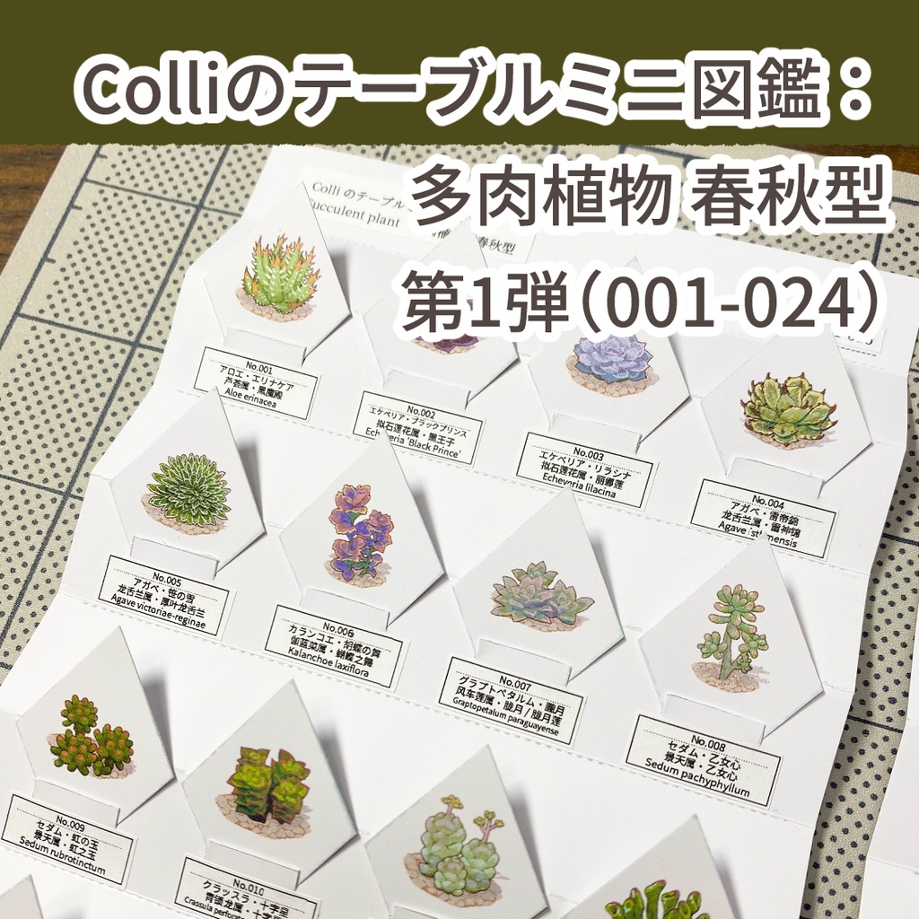 Colliのテーブルミニ図鑑：多肉植物 春秋型 第1弾（001-024）