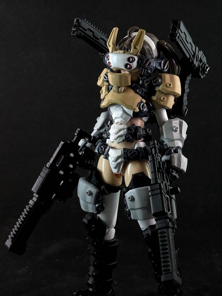 HEAVY GUNNER 01