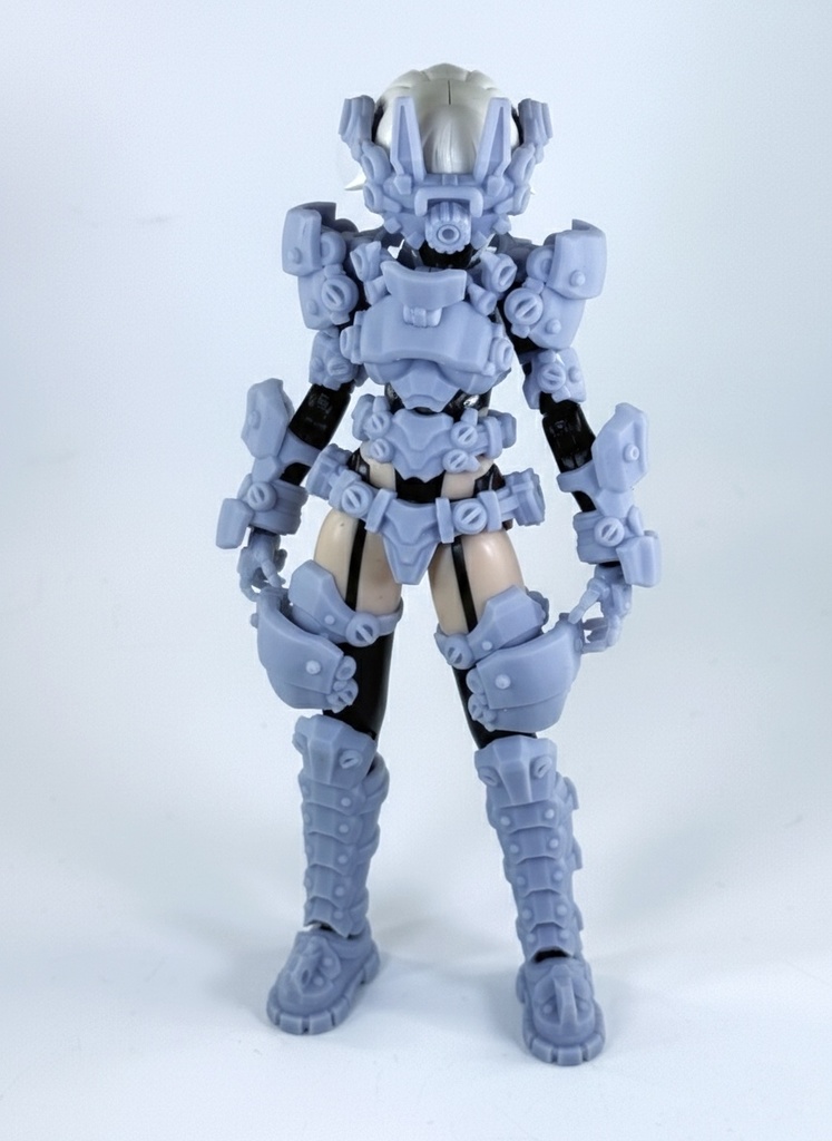 Heavy Armor Type Susanow