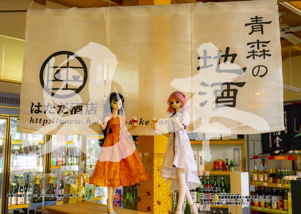 津軽仮想(ばーちゃる)美少女図鑑2021WINTER