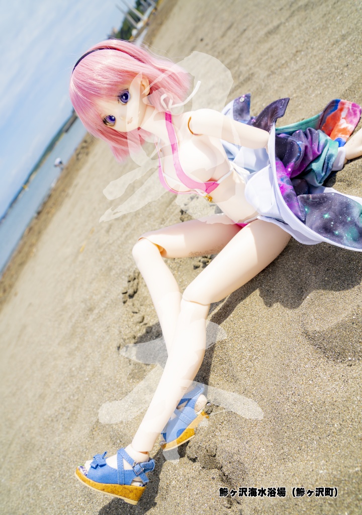 津軽仮想(ばーちゃる)美少女図鑑2021WINTER