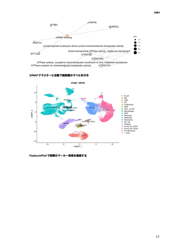 【初心者向け】公共データを用いたSingle Cell RNA-seq解析 ~Rで始めるSingle Cell RNA-seq解析~