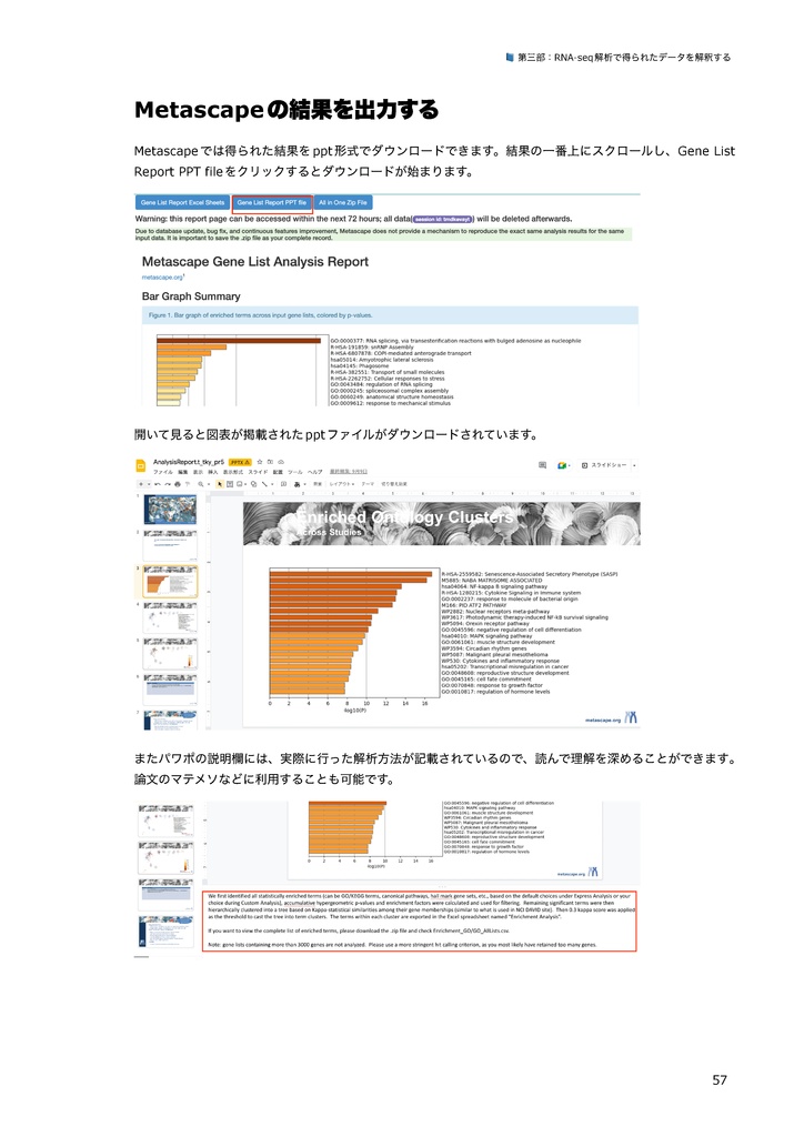 初めての遺伝子解析 ~遺伝子解析に入門してみよう~