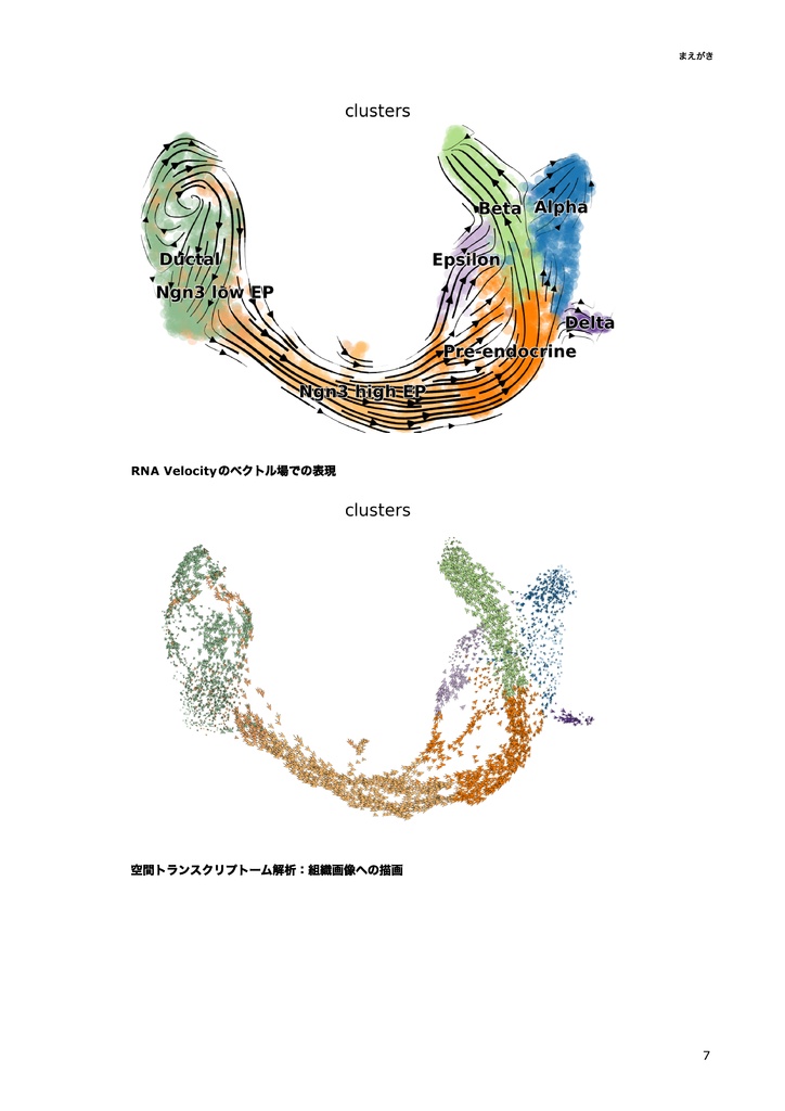 公共データを用いたシングルセルダイナミクス解析~Trajectory解析、RNA Velocity解析、空間トランスクリプトーム解析のやり方~
