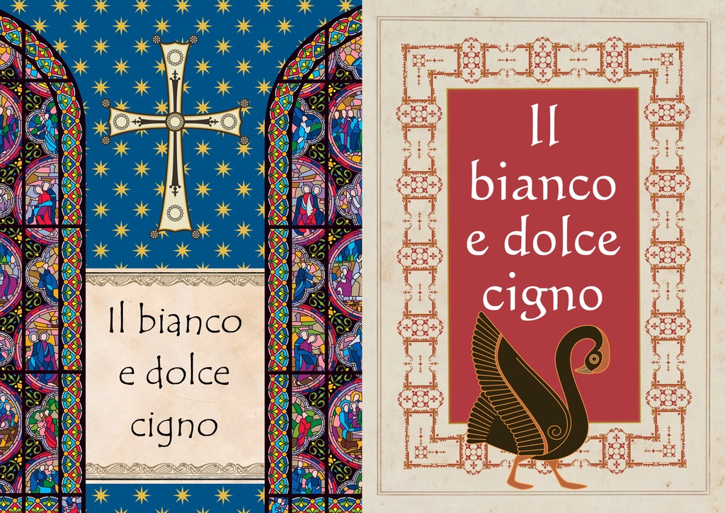 Il bianco e dolce cigno