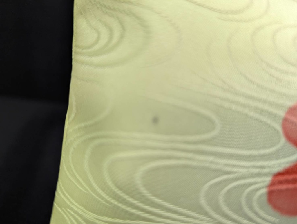 わさこっしゅ(よこ):22-07