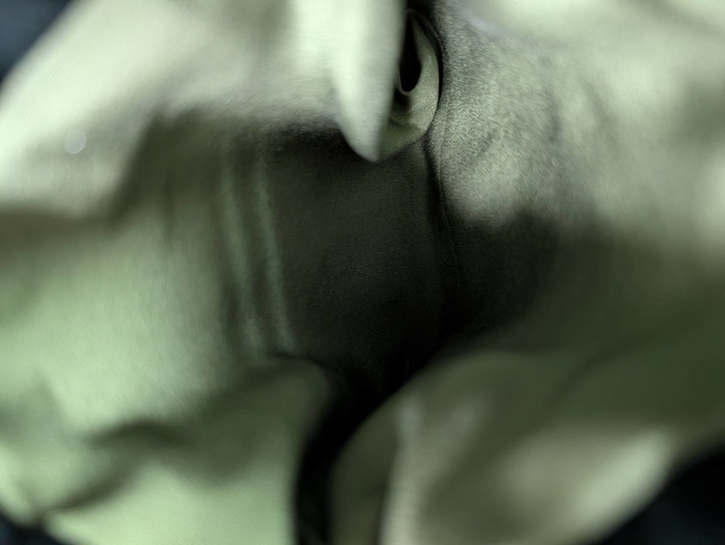 ふたばね:11-74-43