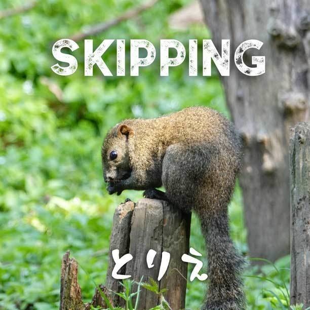 BGM向け楽曲 Skipping