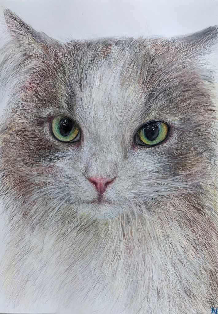 16歳最後のネコ ネコの絵画屋さん Booth